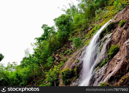 Waterfall in rain forest