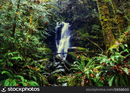 Waterfall in spring forest