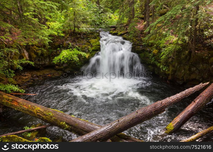 Waterfall in the beautiful green forest