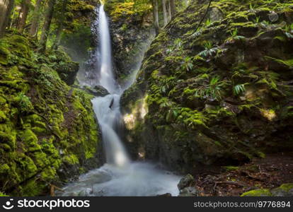 Waterfall in the beautiful green forest