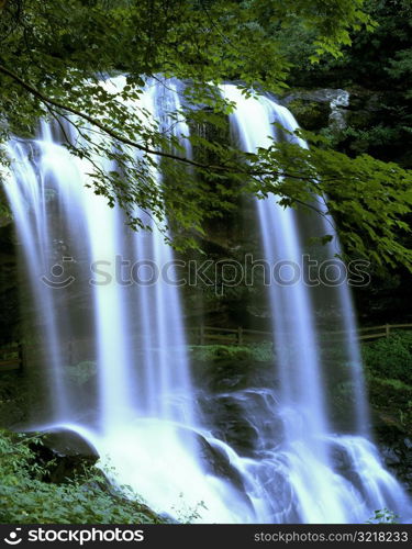 Waterfall in the Forest