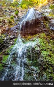 Waterfall in the wild forest. Water cascade from the rock