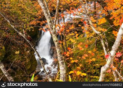 Waterfall in Yukawa River in the colorful foliage of autumn forest at the city of Nikko in Tochigi Prefecture, Japan.