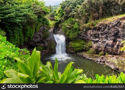 Waterfall on Hawaii. Beautiful tropical waterfall in Hawaii