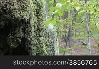 waterfall silver stream in Crimea.