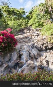 waterfall surrounded by greenery and flowers