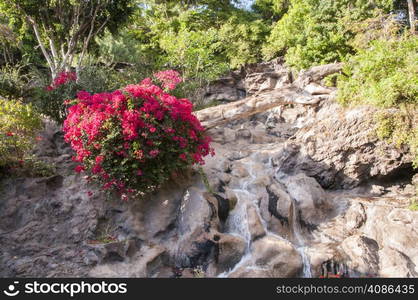 waterfall surrounded by greenery and flowers