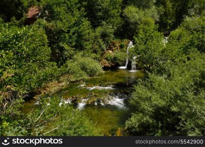 waterfall with clean and fresh water nature with green forest in background