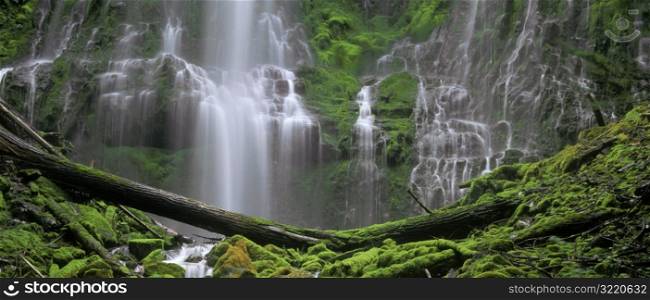 Waterfalls and Mossy Logs