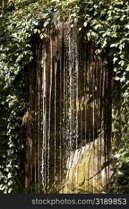 Waterfalls in a forest, Hana Highway, Twin falls, Maui, Hawaii Islands, USA