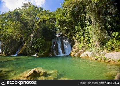 Waterfalls in a forest, Tamasopo Waterfalls, Tamasopo, San luis Potosi, Mexico