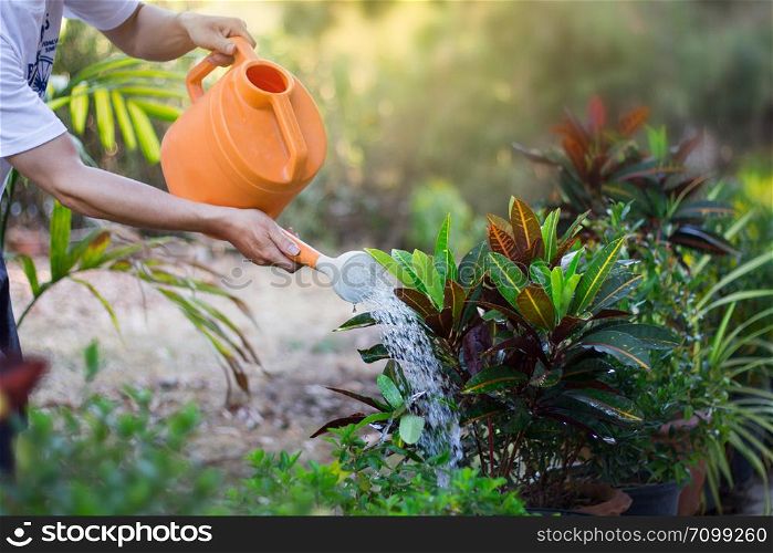 Watering a tree or plant at garden, nature fresh