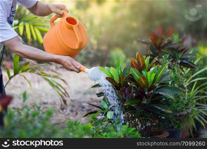 Watering a tree or plant at garden, nature fresh