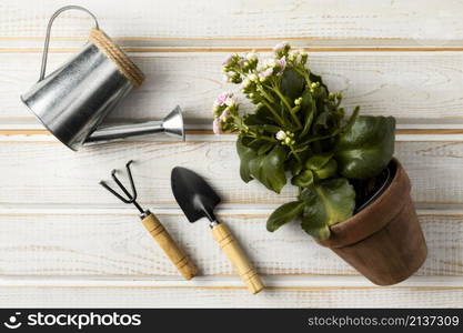 watering can flower pot