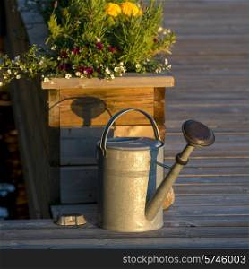 Watering can with flowering plants, Lake of The Woods, Ontario, Canada