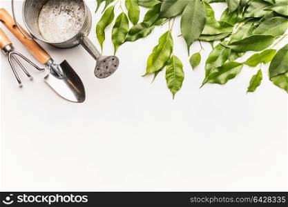 Watering can with gardening tools and green bunch of twigs and leaves on white desk background, top view, border