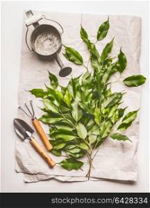Watering can with gardening tools and green bunch of twigs on paper and desk background, top view