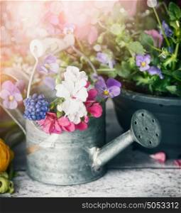 Watering can with plants and flowers on garden table , front view, close up