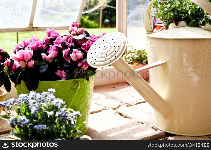 Watering cans, concept of gardening and hobby