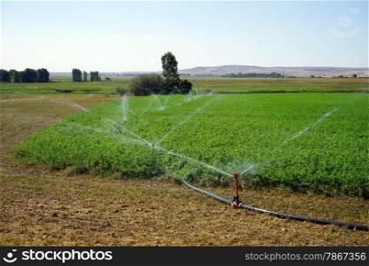 Watering on the green field, Turkey