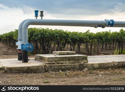 Watering pipes and vineyard. Big irrigation systems.