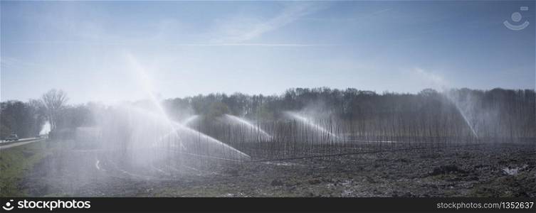 watering the earth by spraying in agricultural area in holland under blue sky in spring