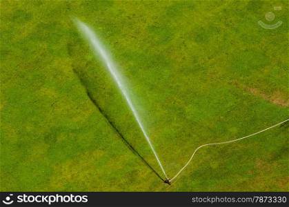 Watering the green. lawn in summer getting watered by a sprinkler