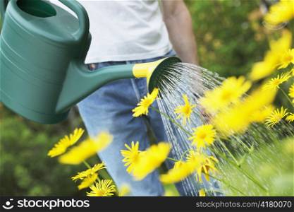 Watering yellow summer flowers with a green watering can.