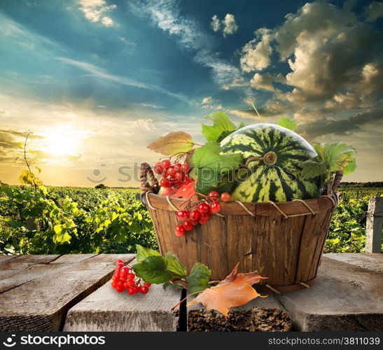 Watermelon in a basket on a wooden table