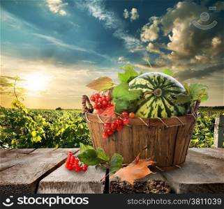 Watermelon in a basket on a wooden table