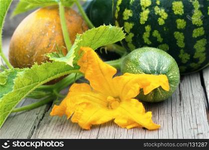 Watermelon, melon and zucchini with a flower on the wooden table. Watermelon, melon and zucchini with a flower