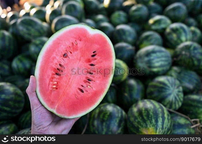 watermelon slice in watermelon field - fresh watermelon fruit on hand agriculture garden watermelon farm with leaf tree plant, harvesting watermelons in the field
