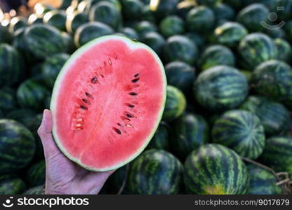 watermelon slice in watermelon field - fresh watermelon fruit on hand agriculture garden watermelon farm with leaf tree plant, harvesting watermelons in the field