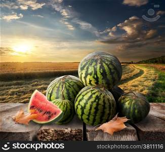 Watermelons on a table and evening landscape