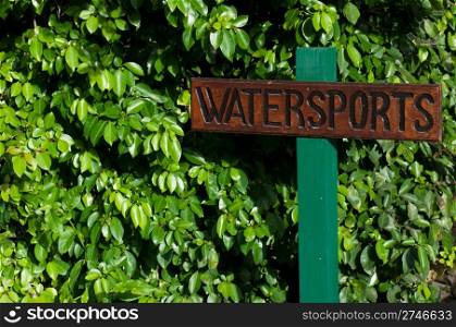 watersports sign on a vibrant green leaves background