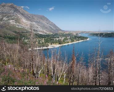 Waterton lake, Landscape of the Waterton Lakes National Park with blue sky, Alberta, Canada