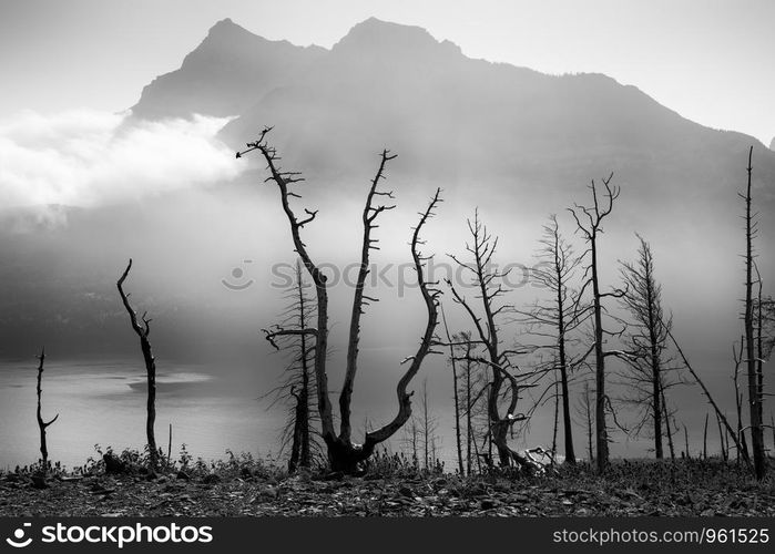 Waterton lake, Landscape of the Waterton Lakes National Park with blue sky, Alberta, Canada