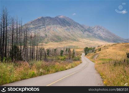 Waterton lake, Landscape of the Waterton Lakes National Park with blue sky, Alberta, Canada