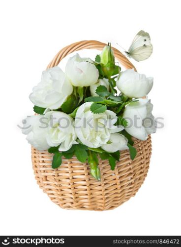 Wattled basket of natural wicker with bouquet of fragrant flowers of white dog-roses and white butterfly, isolated on a white background