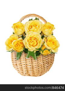 Wattled basket of natural wicker with bouquet of yellow rose flowers covered with dew drops isolated on white background, front view