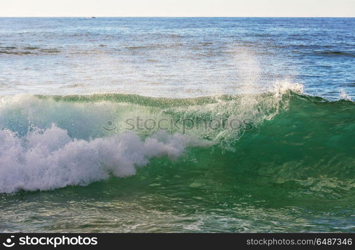 Wave. Blue wave on the beach. Blur background and sunlight spots. Peaceful natural background.