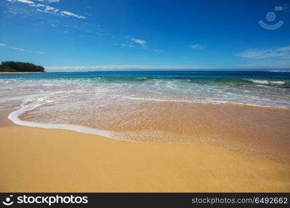 Wave. Blue wave on the beach. Blur background and sunlight spots. Peaceful natural background.