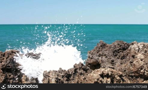 Wave Crashing on the Shore