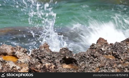 Wave Crashing on the Shore