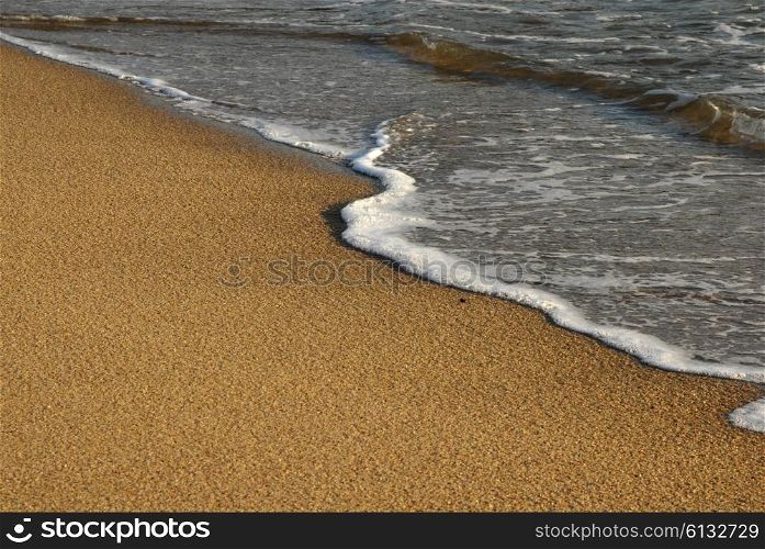 wave in the sand at the beach