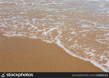 Wave of the sea on the wet sand