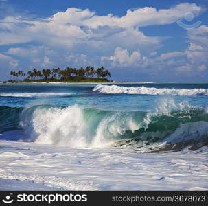 Wave on the beach