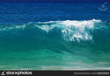 Wave on the beach