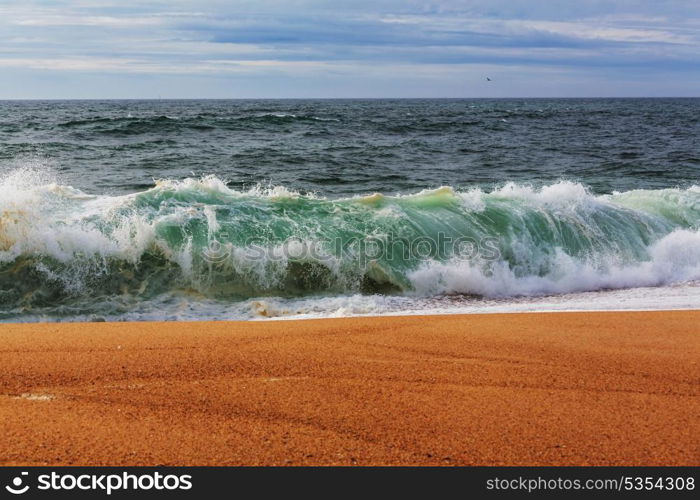 Wave on the beach