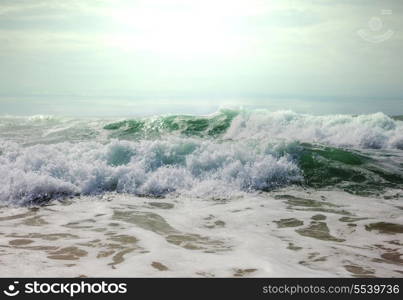 Wave on the beach